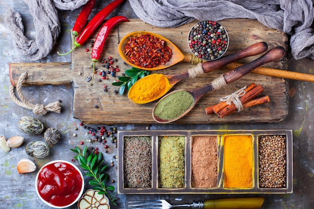 Spices and condiments for food