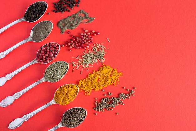 Spices in the silver spoons for cooking meat on red. Top view.