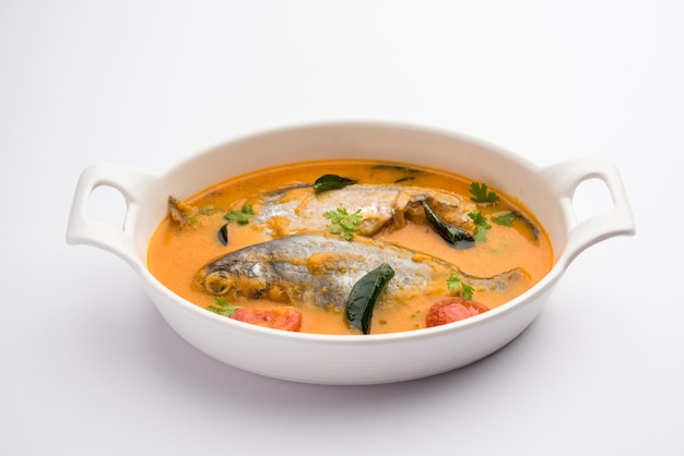 Spicy Fish Curry - kerala, konkan, bengal, goa style in Red and brown colour, served with rice