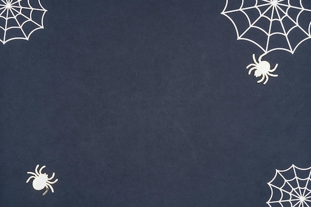 Spider and cobweb background