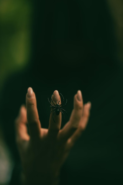 Spider on the finger. black figure.happy halloween. all saints\'\
day. soft focus.