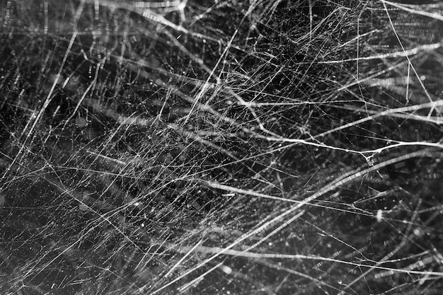 Spider web abstraction chaotic lines incredible background