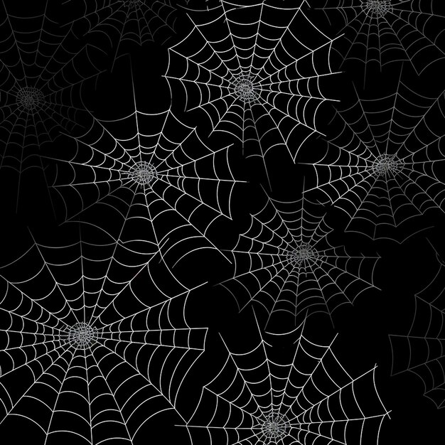 Photo spider web overlay