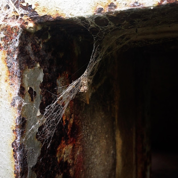 Spider web on rusty metal door