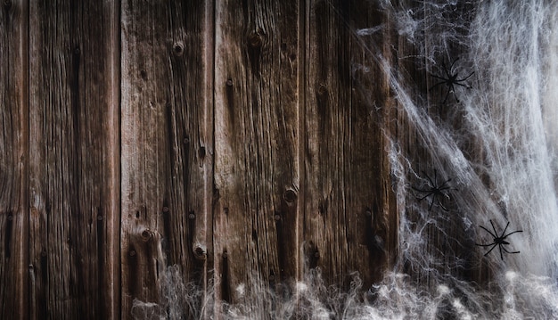 Spider web on wooden background. Halloween banner. Copy space. Selective focus.