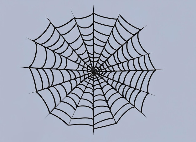 Spider web