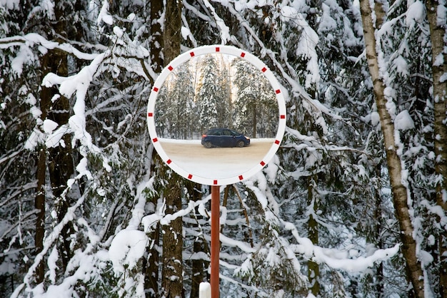 Spiegel in winterbos