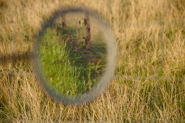 Foto spiegel op een grasveld