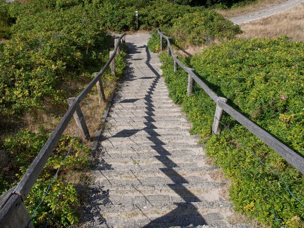 Foto spiekeroog duinen