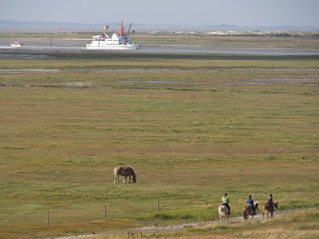 Photo spiekeroog dunes