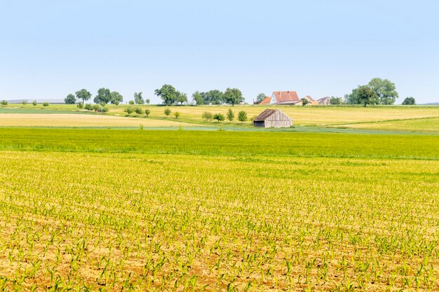 Foto spiekeroog nella frisia orientale