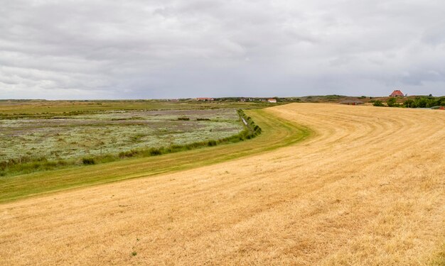 Spiekeroog in East Frisia