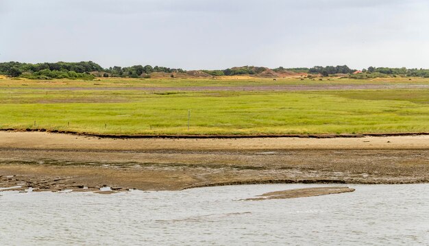 Photo spiekeroog in east frisia