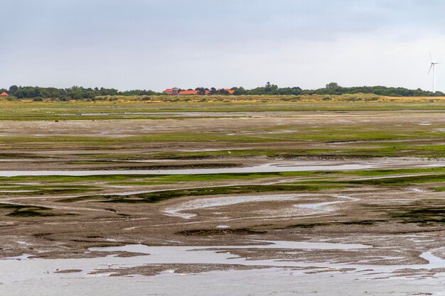 Photo spiekeroog in east frisia