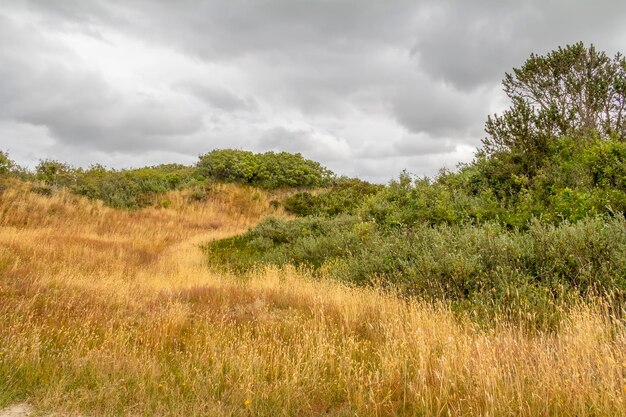 Spiekeroog in Oost-Friesland