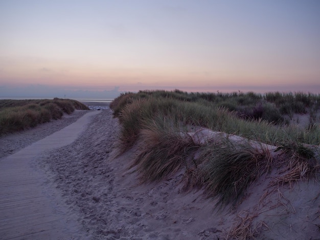 Photo spiekeroog island in the north sea