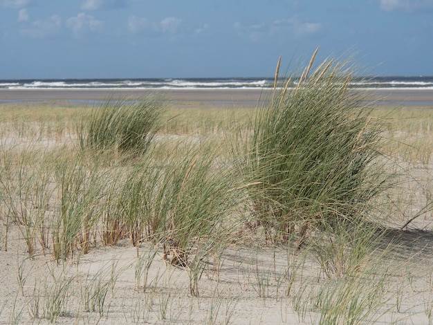 Spiekeroog island