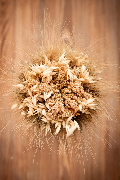 Spighette segale avena senape di frumento