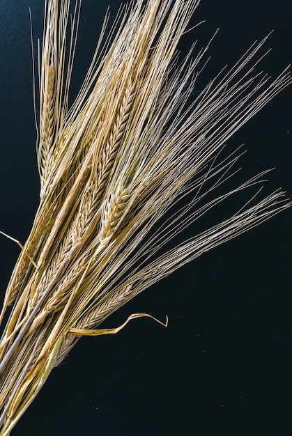 Photo spikelets of wheat on black wooden surface