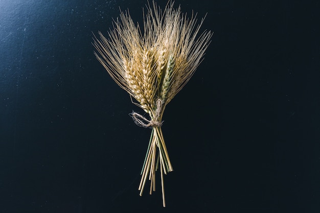 Spikelets of wheat on black wooden 