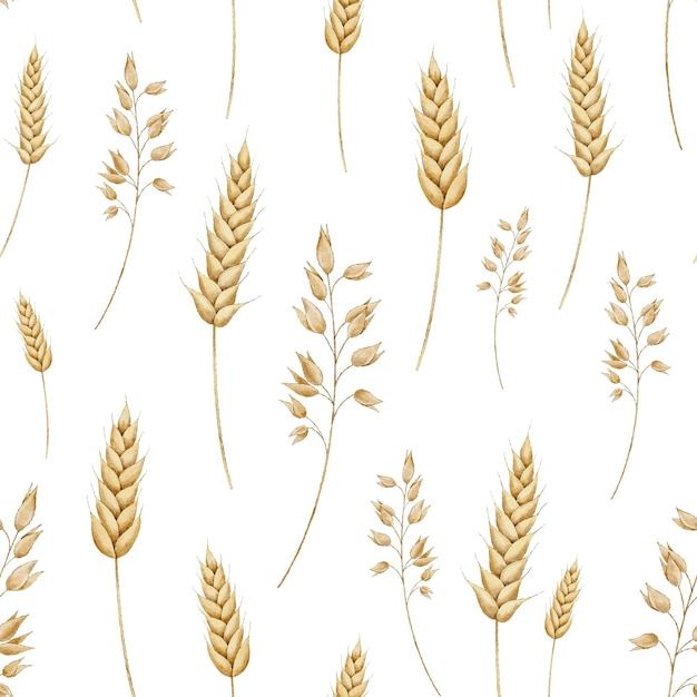 Spikelets of wheat Bunch of wheat and oats seamless pattern watercolor hand drawn