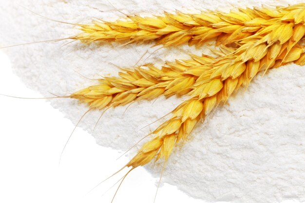 Spikelets of wheat on flour spillage.Isolated.