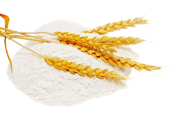 Spikelets of wheat on flour spillage.Isolated.