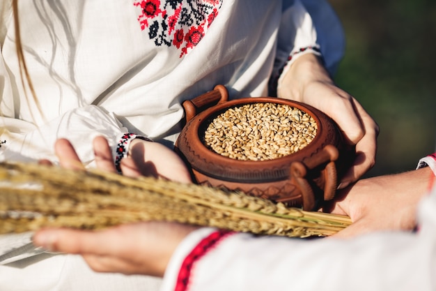 Spikelets of wheat and a pot of wheat seeds are held in the hands of a guy and a girl in embroidered shirts