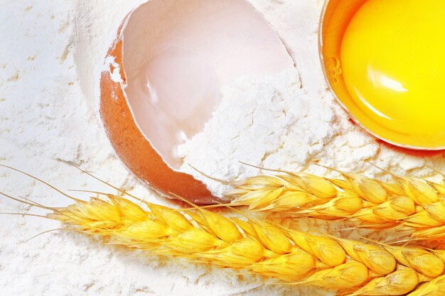 Spikelets of wheat with egg on flour spillage.Isolated.