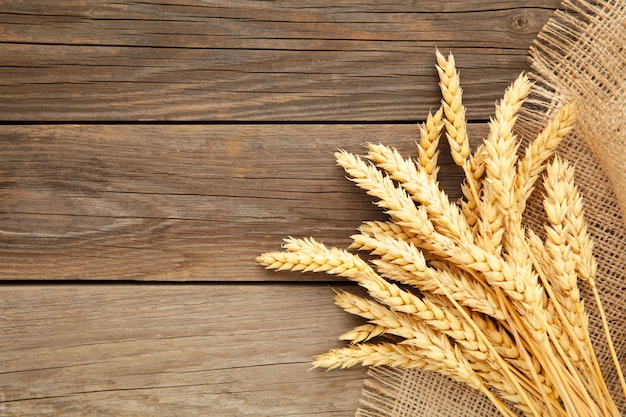 Spikelets of wheat with sackcloth on grey wood with copy space