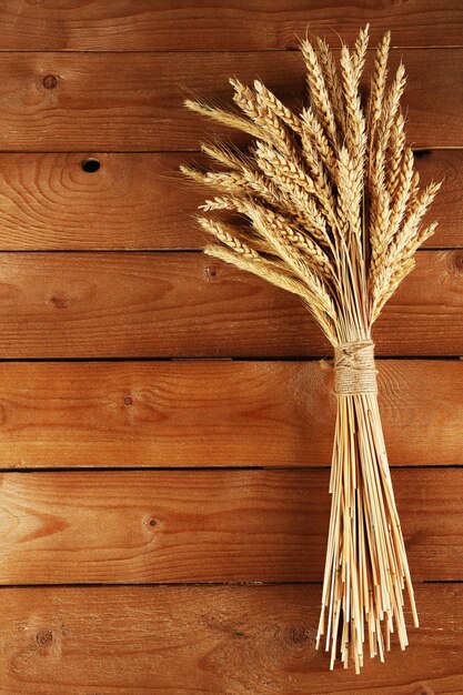 Spikelets of wheat on wooden background