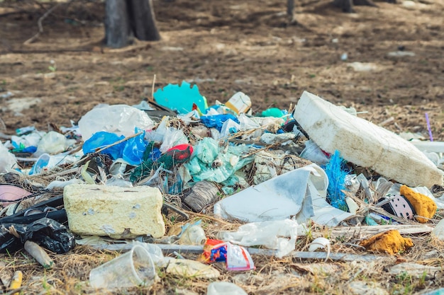 Riciclaggio dei rifiuti fuoriusciti nella foresta del parco rifiuti sporchi vuoti usati bottiglie di plastica e scatole di cartone inquinamento totale ambientale problema ecologico riscaldamento globale le persone non si preoccupano