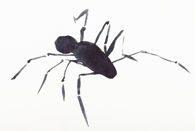 Spin getekend door zwarte aquarellen