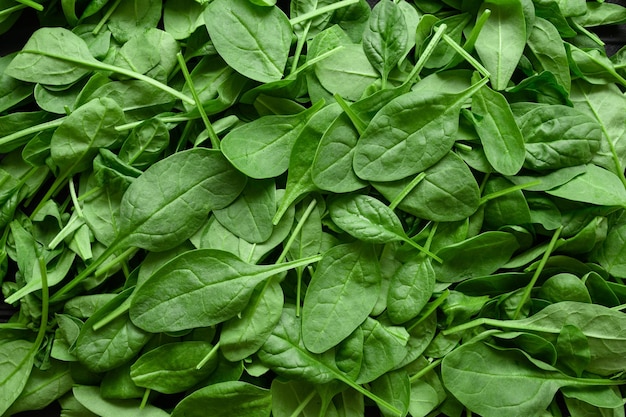 Spinach background full image Top view