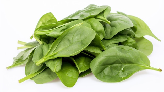 Шпинат — полезное растение, которое полезно для здоровья и содержит много витамина С.