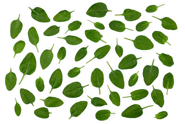 Spinach leaf background. Top view. High quality photo