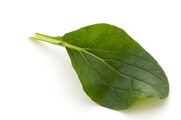 Spinach leaves close up isolated on white.