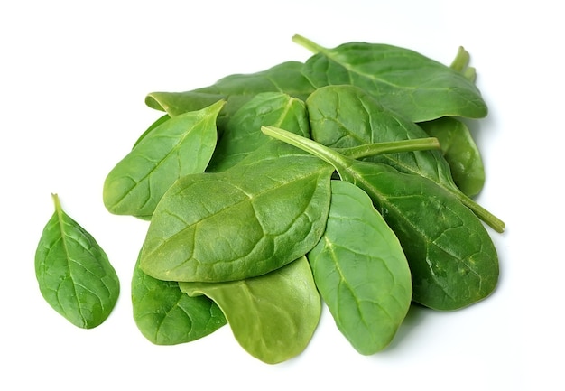 Spinach leaves isolated close up