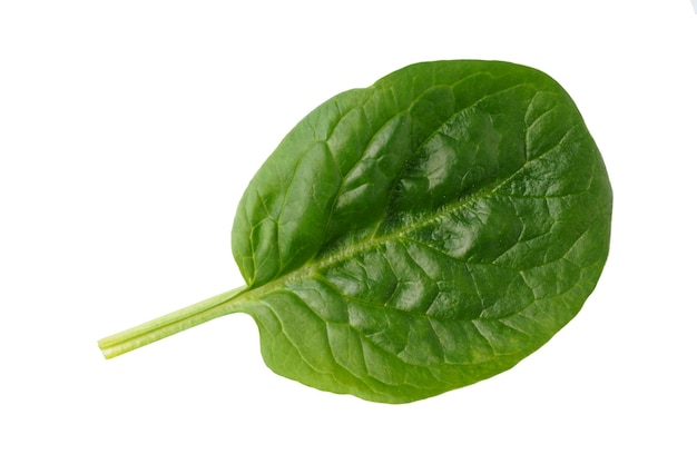 Photo spinach leaves isolated on white