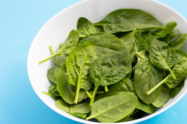 Spinach leaves on white background