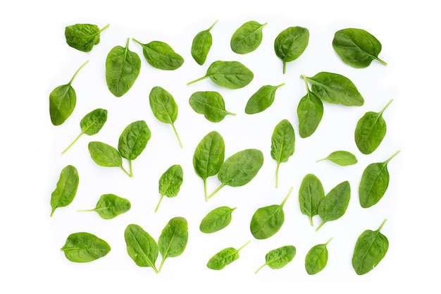 Spinach leaves on white background