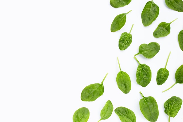 Spinach leaves on white background