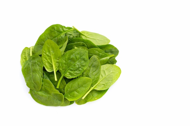 Spinach leaves on white background