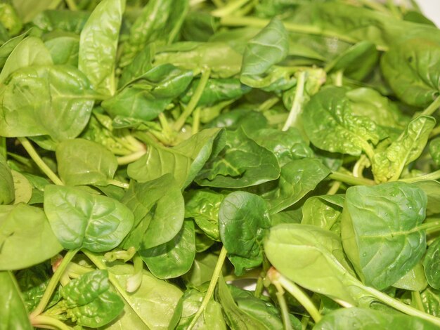 Spinach leaves