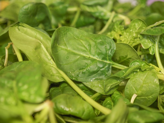 Spinach leaves