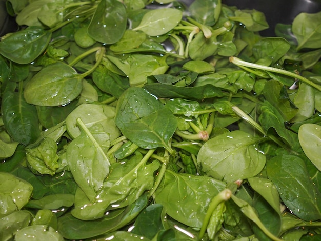 Spinach leaves