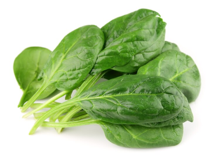 Photo spinach on white close up
