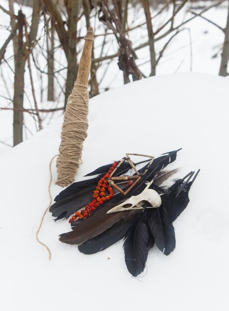 Foto mandrino, piume di corvo, teschio di uccello e perline di sorbo nella neve.