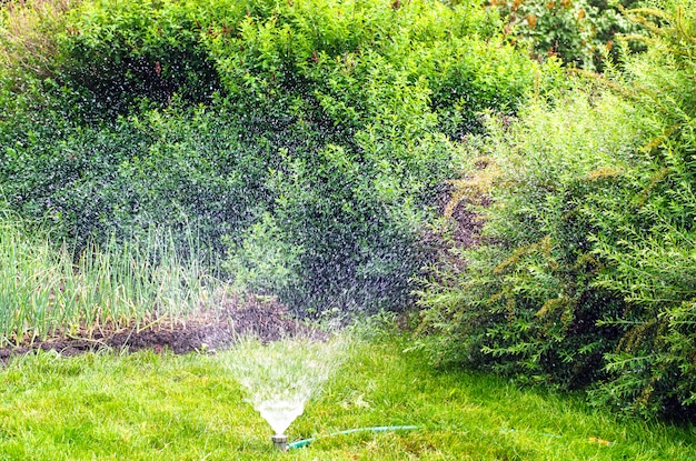 Spinkler in tuin, zonsondergang