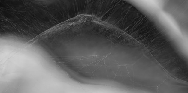 Spinnenweb, abstracte achtergrond